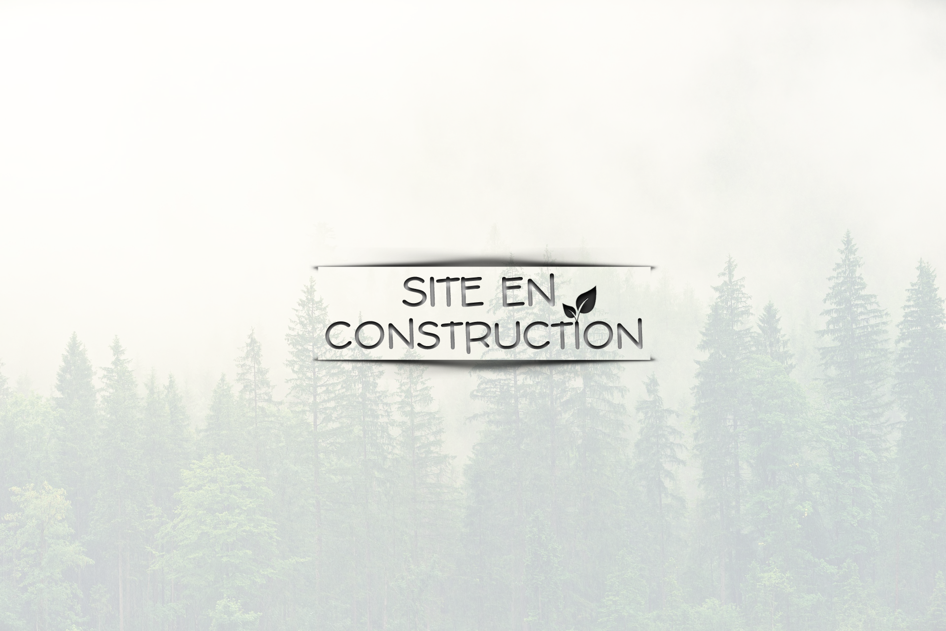 Site en construction